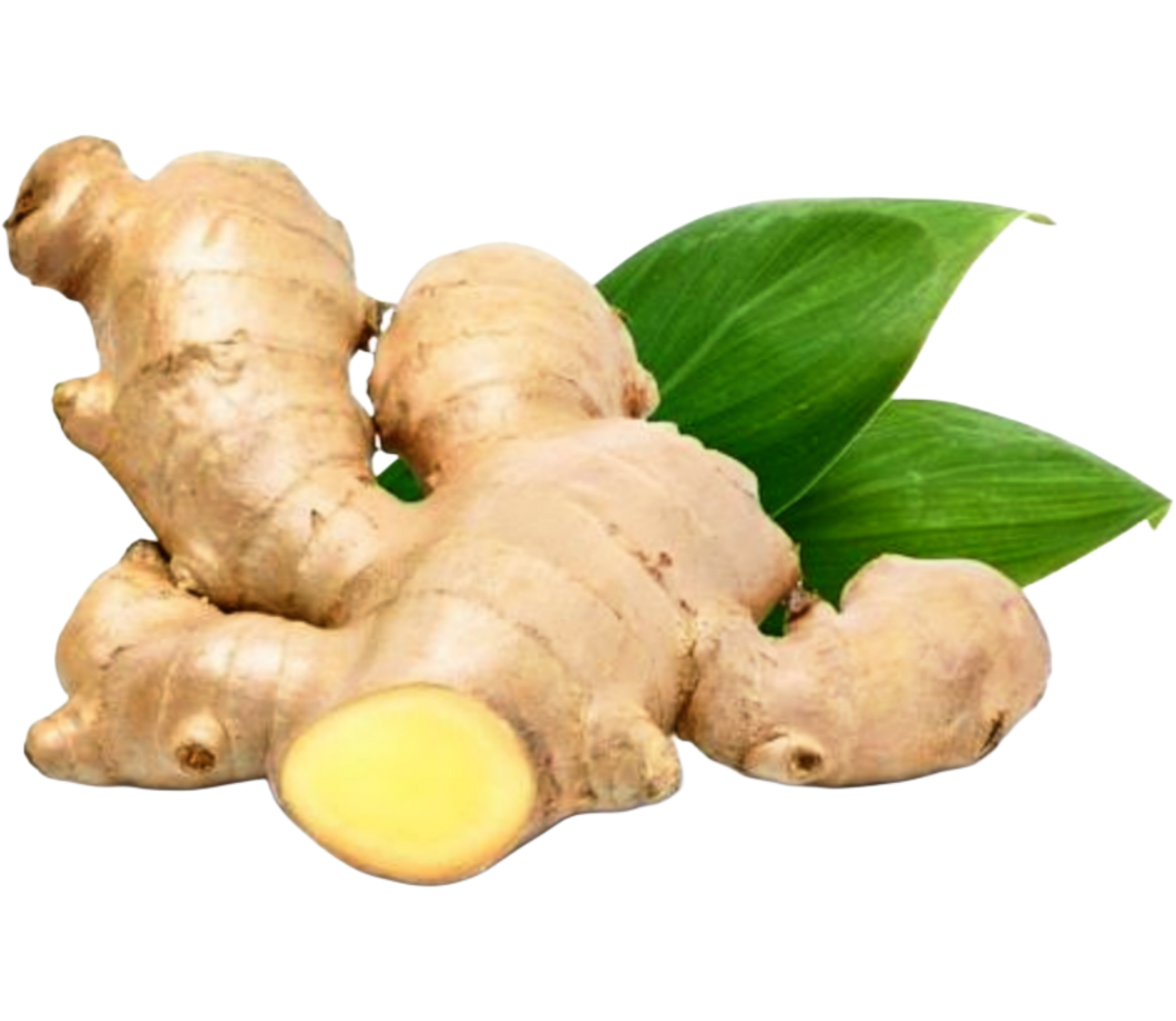 logo gengibre brasil .psd