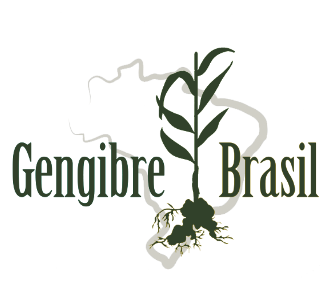 Gengibre Brasil